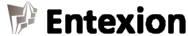 Entexion Logo